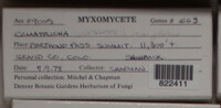 Image Associated With the Occurence